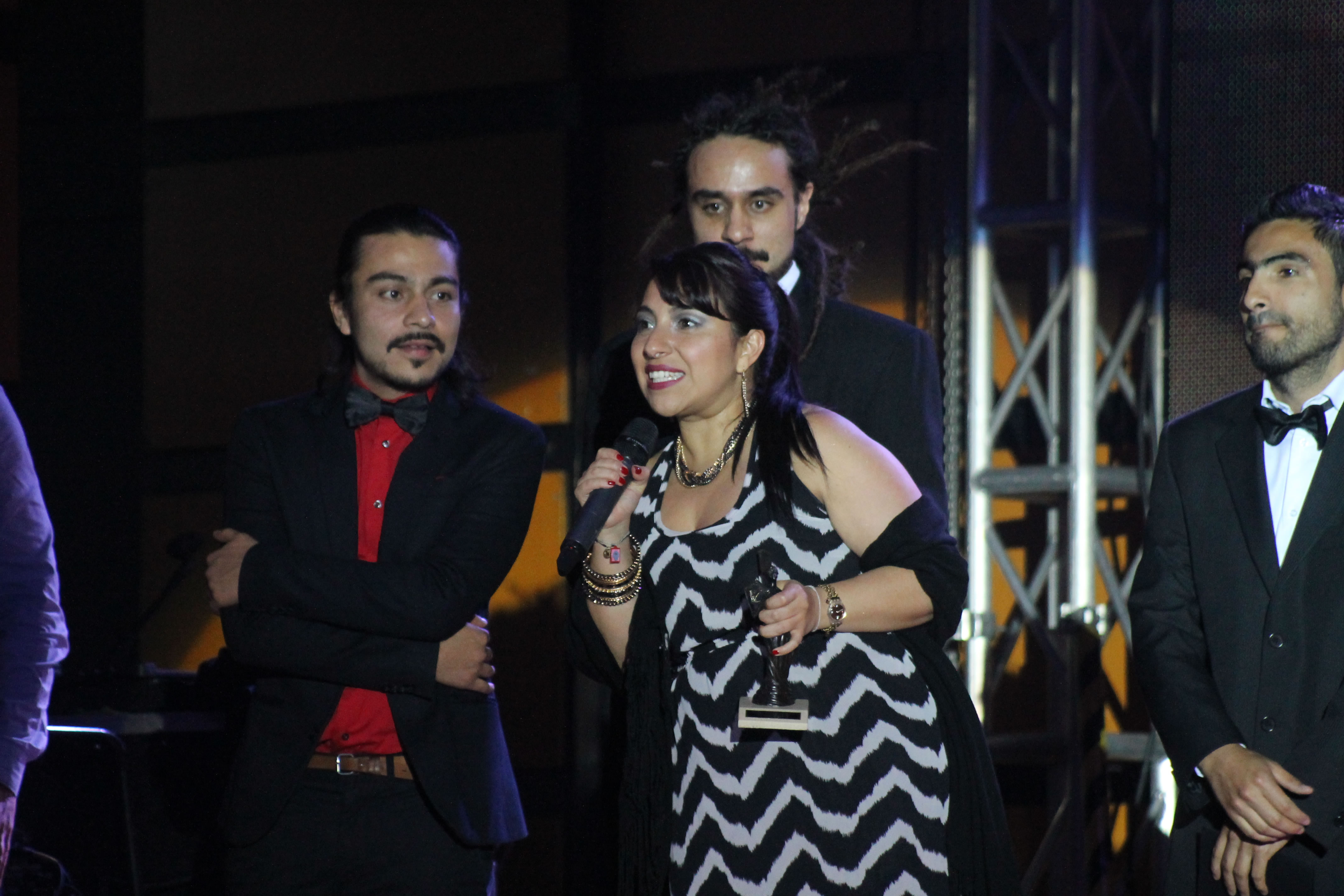 Premios Linda Villarraga 2013