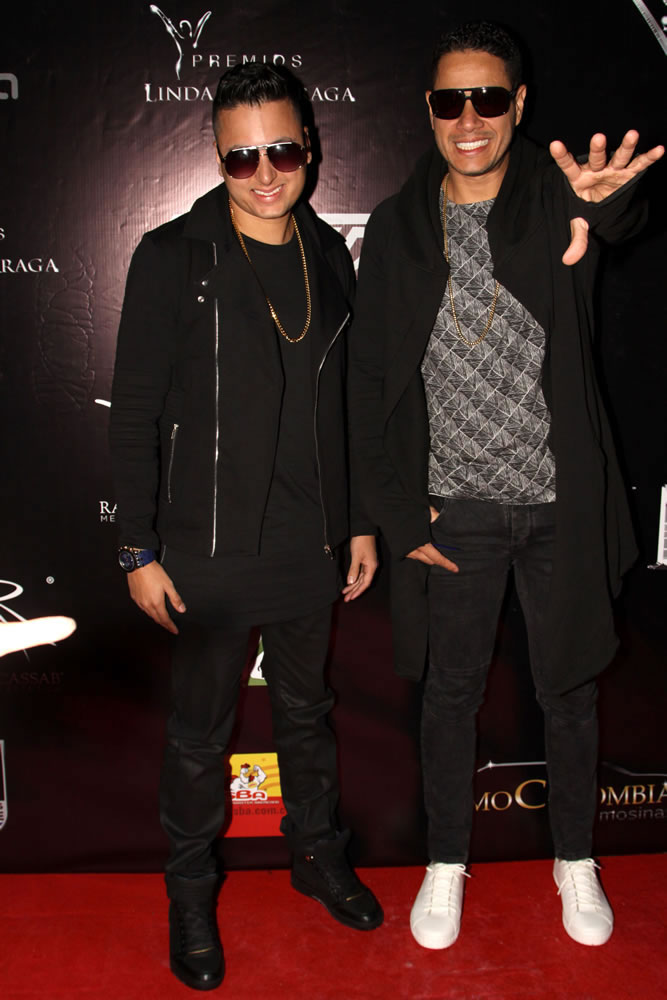 Premios Linda Villarraga 2015